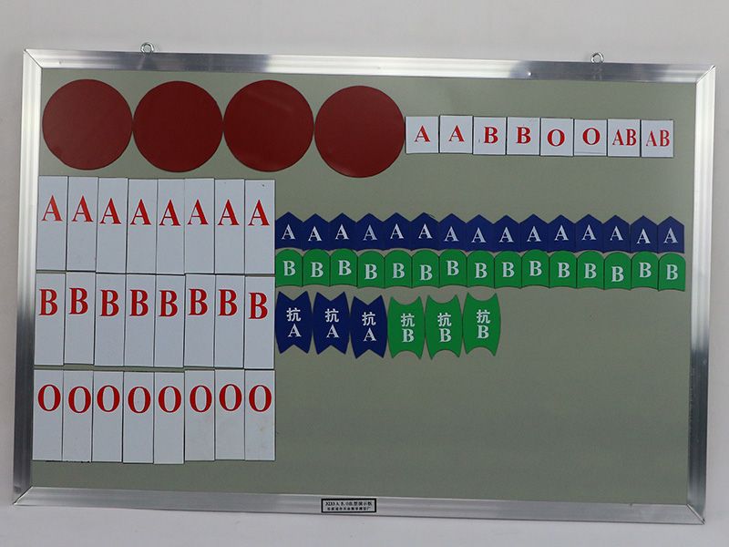 ABO血型磁性演示块